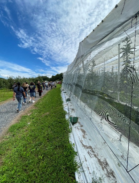 Vitrines regie moindre risques pomme 2018-2024